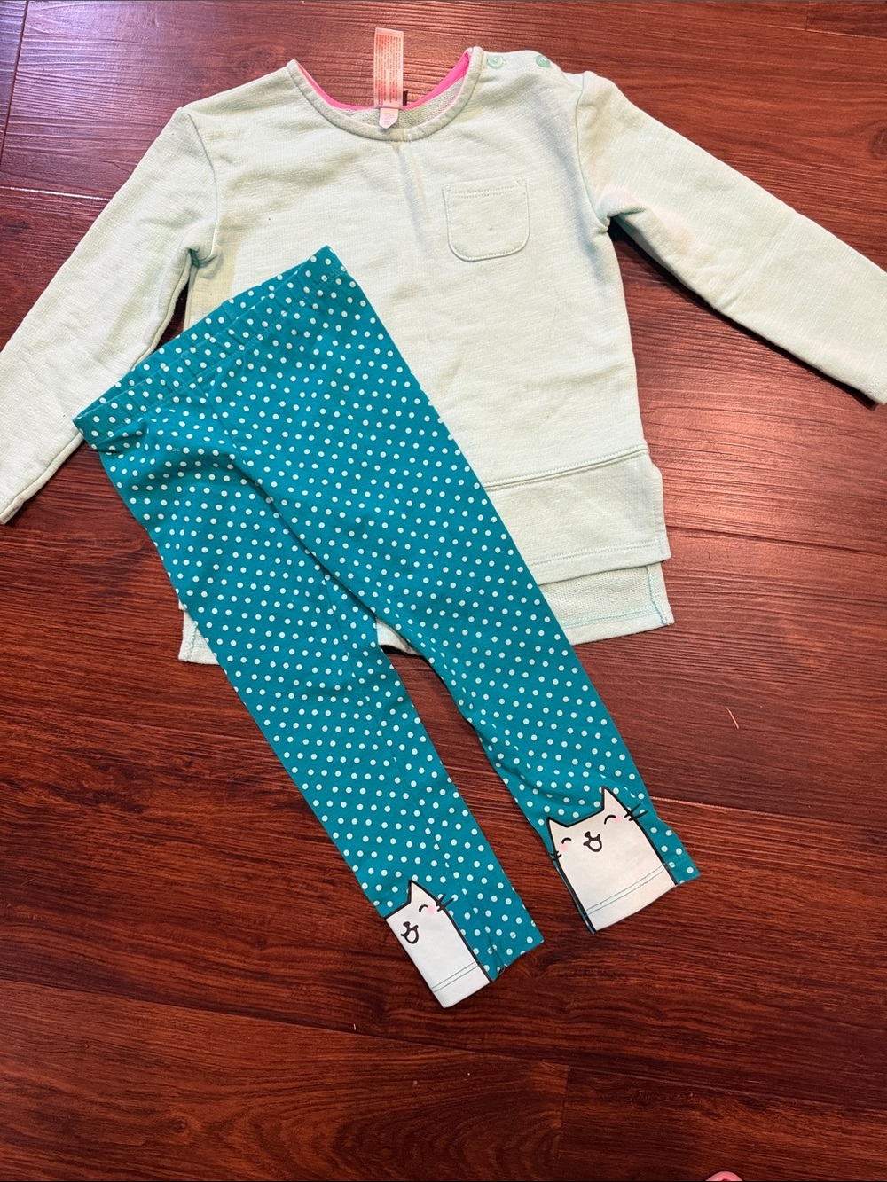 Cat & Jack Teal Polka Dot Cat Leggings with Light Mint Top